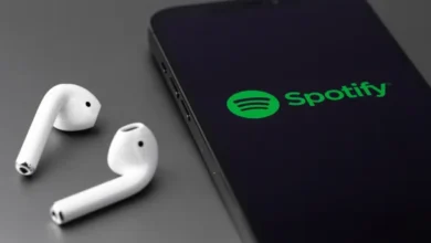 Spotify Kosten